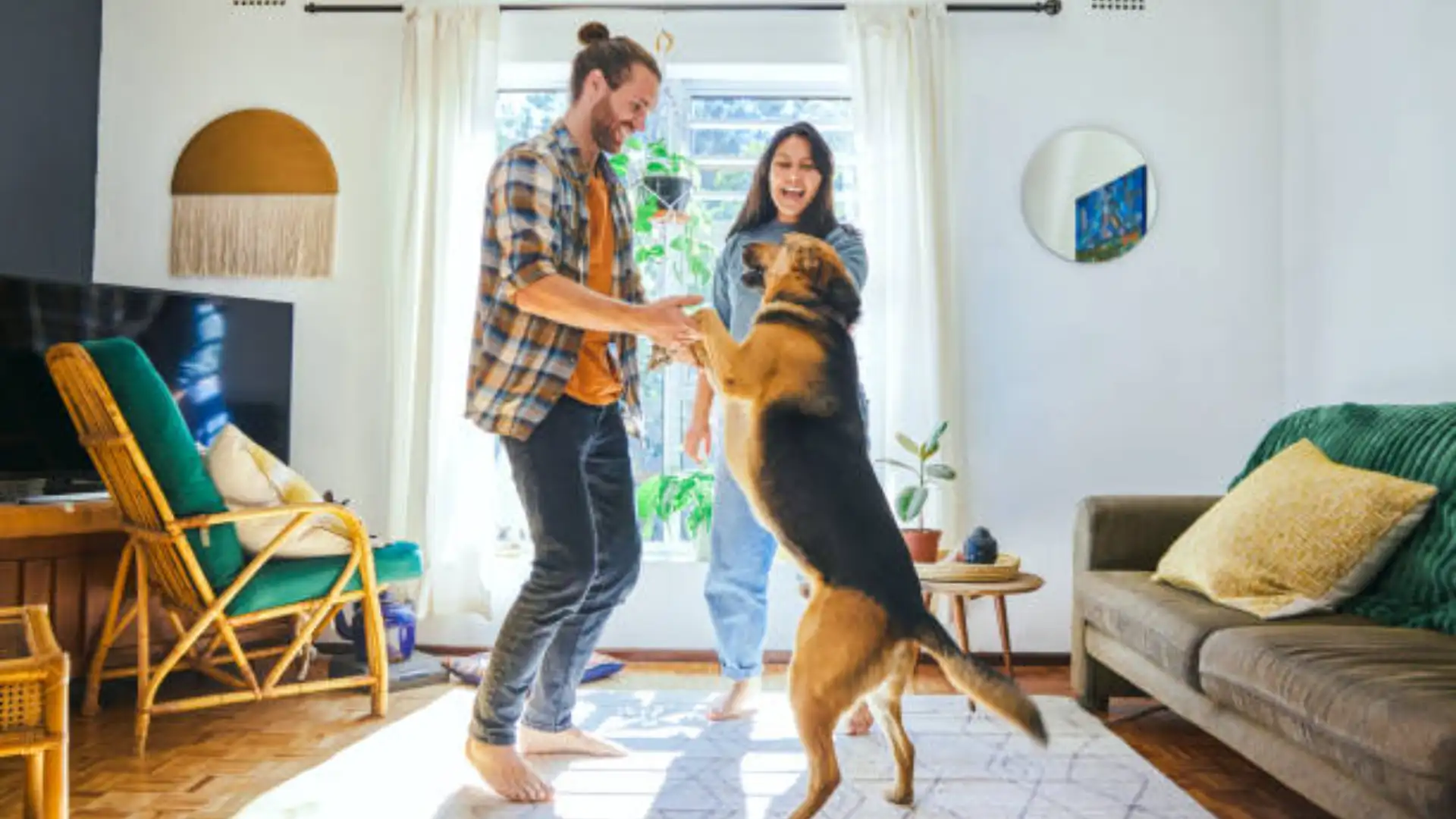 Por que Muitas Pessoas Preferem Ter Pets em Vez de Filhos nos Tempos Atuais?